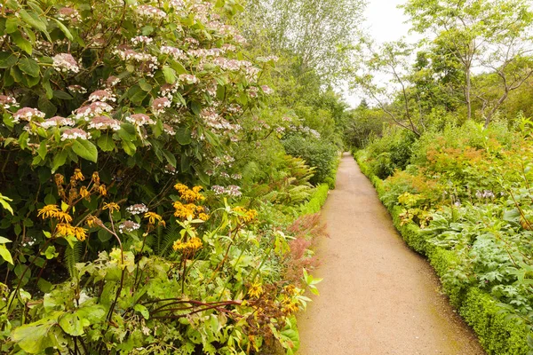 Crathes zahrady Skotsko v létě pěšina — Stock fotografie