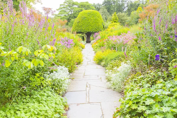 Crathes zahrady cesta mezi květiny Skotska — Stock fotografie