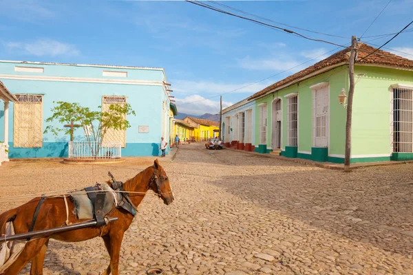 Trinidad Straße mit Pferd — Stockfoto