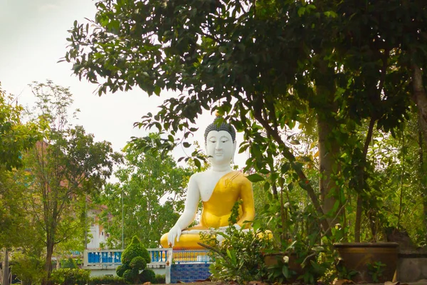방콕 강 보기에 앉아 부처님 — 스톡 사진