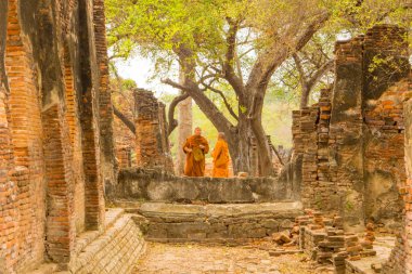 Rahipler Ayutthaya tapınakları ziyaret