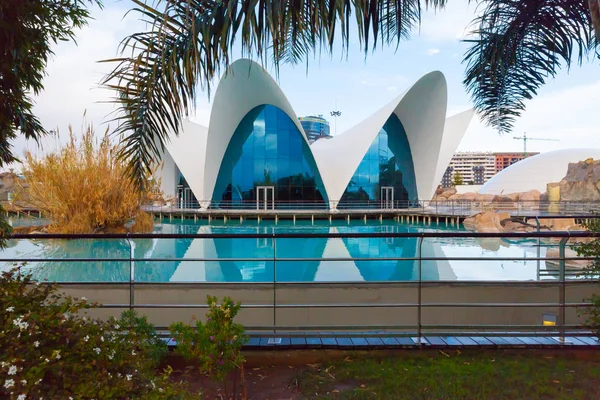 Vista oceanográfica al aire libre en la ciudad de las artes y la ciencia Valencia —  Fotos de Stock