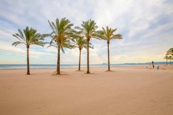 Valencia plaj avuç içi Günbatımında görüntülemek — Stok fotoğraf