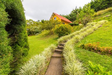 Boquete Panama tepelerinde Bahçeli ev