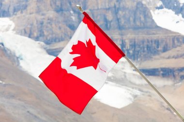 Canadian flag on athabasca glacier  clipart