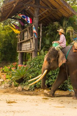 Fil closeup Tay adam