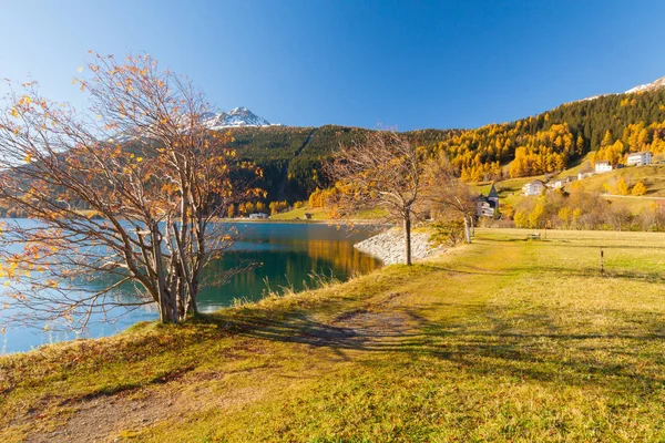 Foliage in the woods around Lake Resia Italian Alps — Stock Photo, Image