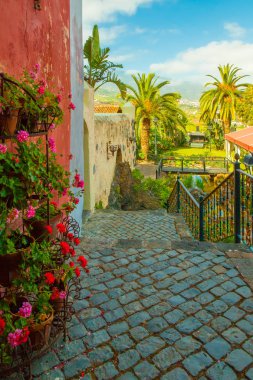 La Orotava Teras görünümü