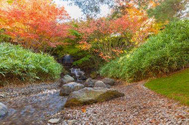Şelale ve nehir ormandaki yeşillik
