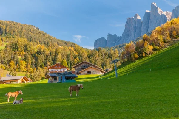 Italian Alps with horses — Stock Photo, Image