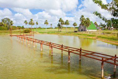 Pinar del Rio Küba kırsal