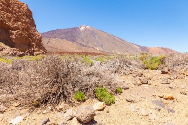 Teide Milli Park yolu Tenerife Adası
