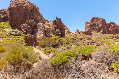 Teide Milli Parkı iz Tenerife Adası kadınla