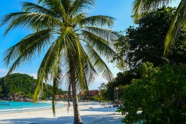 redang Island Malalysia beach ve tatil köyleri