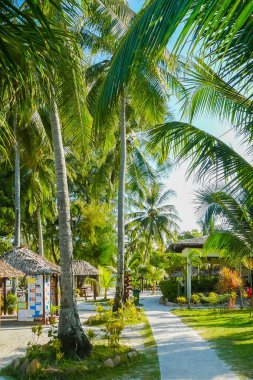 Redang Island sahil yolu Malezya