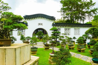 Bonsai Bahçe bulutlu günde Singapur Japon Arcade
