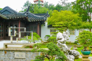 Bonsai Bahçe Singapur zen köşe