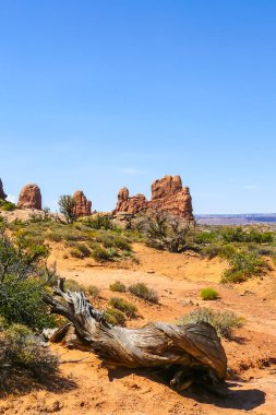 Arches National Park Yaz manzara mavi gökyüzü ile