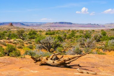 Arches National Park içinde mavi gökyüzü ile yaz panorama