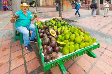 Medellin seyyar meyve satıcısı
