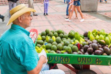 Seyyar meyve satıcı Medellin profil görünümü