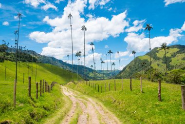 Vadisi yolu Cocora: Salento