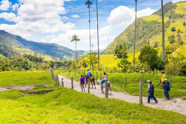Caballos en el valle del Cocora Salento Colombia — Foto de Stock