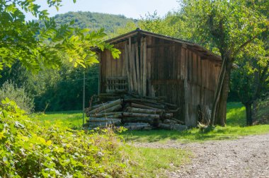 Ormanın içinde ahşap kulübe