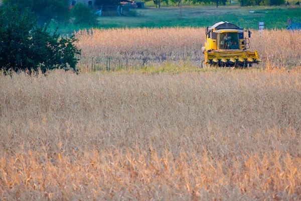 Moissonneuse au travail dans les champs au coucher du soleil en Italie — Photo