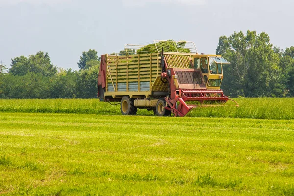 Máquina agrícola corta grama — Fotografia de Stock