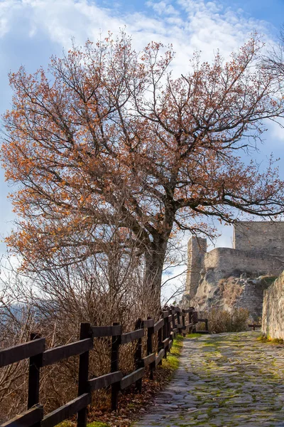 Caminho para as ruínas do castelo no outono — Fotografia de Stock