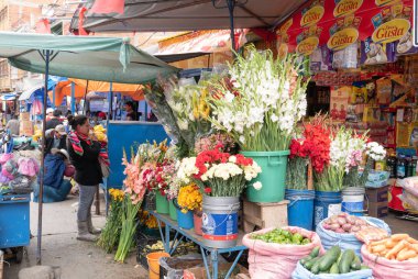 Sucre Bolivya pazarı çiçekleri