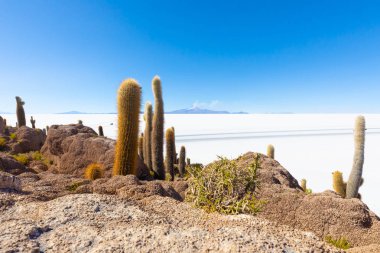 Thunupa yanardağının Bolivya Uyuni patlaması 
