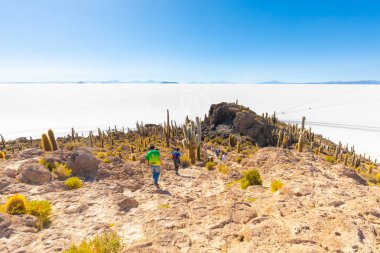 Bolivya Uyuni İncahuasi adası turistleri