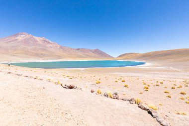 Şili Atacama Çölü Miscanti Gölü ve dağı