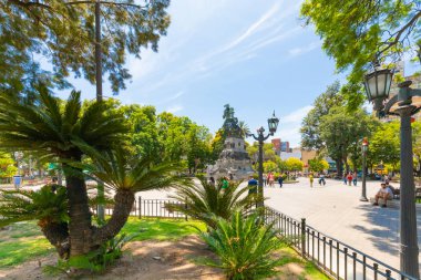 San Martin Meydanı 'ndaki Arjantin Cordoba tropikal bitkileri