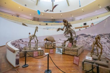 Arjantin Cordoba Doğal Bilim Müzesi