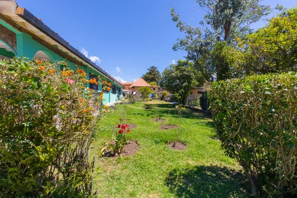 Costa Rica Häckar Och Blomsterträdgårdar Orosi — Stockfoto