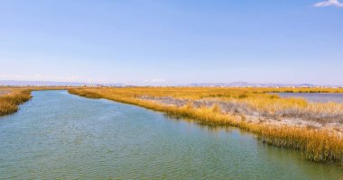 Peru Gölü Titicaca su yolları yüzen adalar arasında güneşli