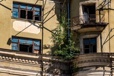 Çürük bina bir ağaç