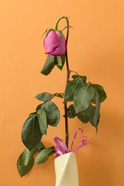 Solan gül çiçek vazosu