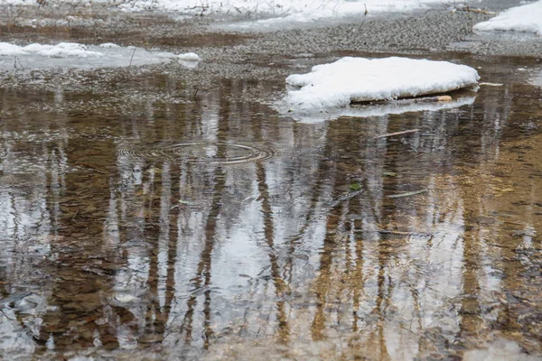 Schmelzwasser im Wald, Spiegelungen und Kreise auf dem Wasser. — Stockfoto
