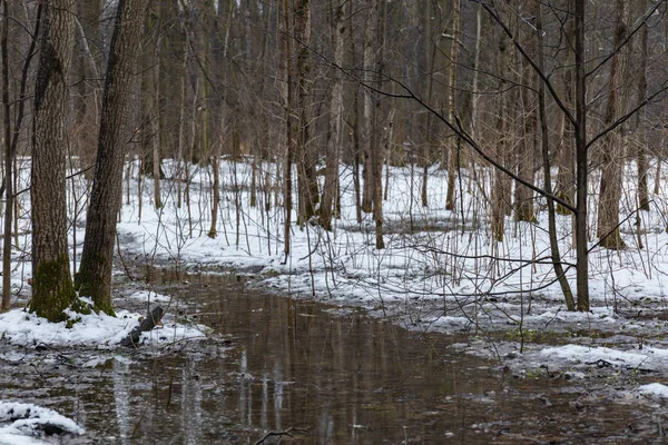 Su ve yeşil yosun eritmek