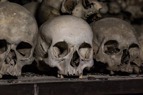 Arka plan olarak gerçek insan kafatasları