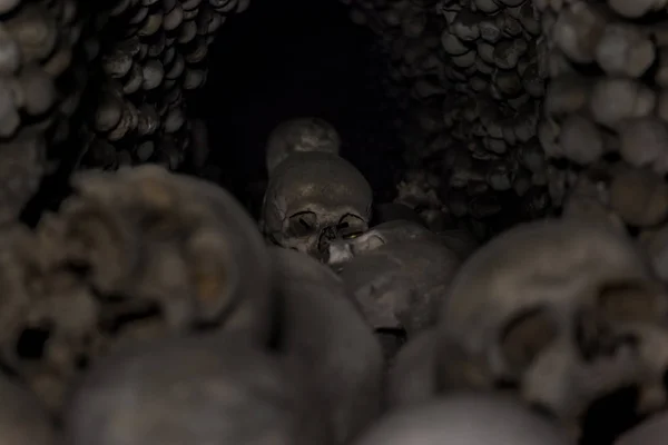 Yığılmış insan kafatasları ve kemikleri