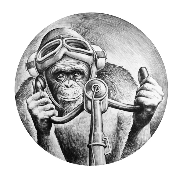 Пилот шимпанзе за штурвалом — стоковое фото