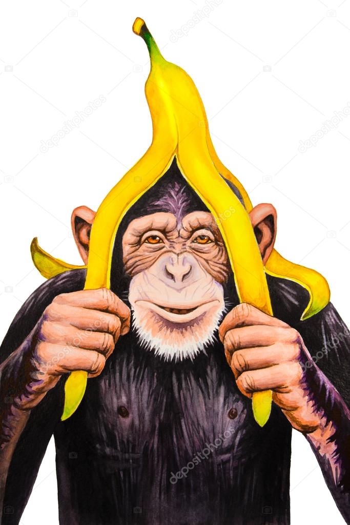 Monkey  with a banana peel