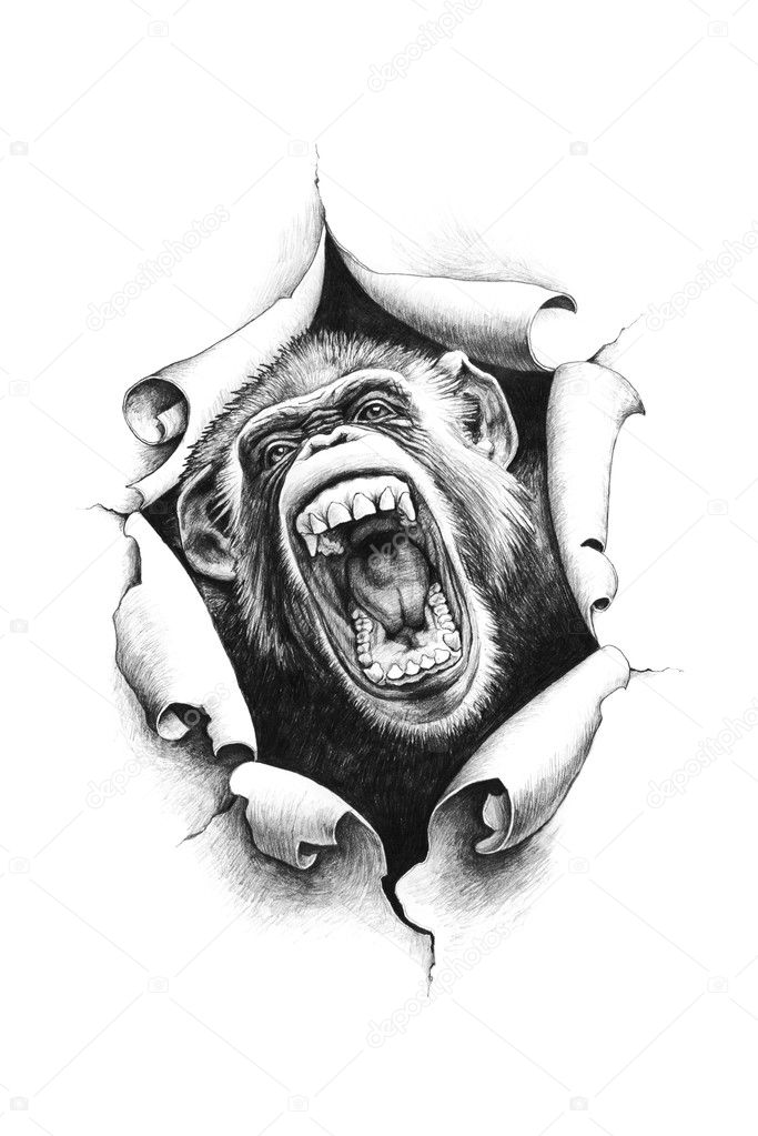 Chimpanzee with open mouth breaks through the paper. 