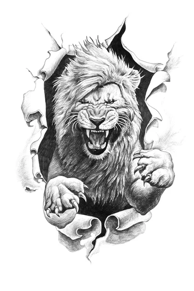 Desenho Lápis Leão — Fotografia de Stock