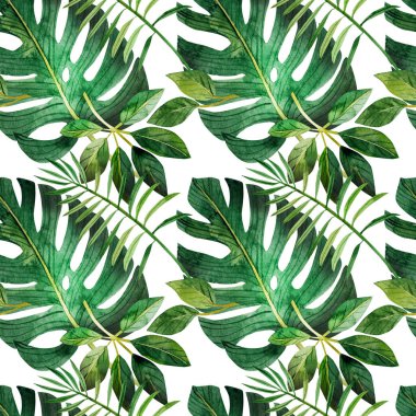Koyu bir arka planda tropikal yaprakları olan kusursuz bir desen, hatıra defteri ve hediye paketi için mükemmel, ayrıca giysilerdeki parmak izleri için de uygun. Kağıda elle çizilmiş suluboya, dijital klipsleme. Yeşil Tropik Yapraklar, Canavar, Palmiye Yaprakları